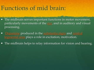 Functions of mid brain:
 The midbrain serves important functions in motor movement,
particularly movements of the eye, and in auditory and visual
processing.
 Dopamine produced in the substantia nigra and ventral
tegmental area plays a role in excitation, motivation.
 The midbrain helps to relay information for vision and hearing.
 