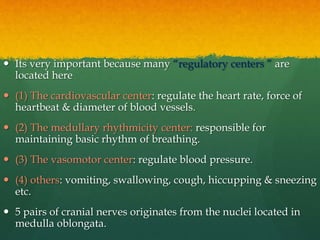  Its very important because many “regulatory centers ” are
located here
 (1) The cardiovascular center: regulate the heart rate, force of
heartbeat & diameter of blood vessels.
 (2) The medullary rhythmicity center: responsible for
maintaining basic rhythm of breathing.
 (3) The vasomotor center: regulate blood pressure.
 (4) others: vomiting, swallowing, cough, hiccupping & sneezing
etc.
 5 pairs of cranial nerves originates from the nuclei located in
medulla oblongata.
 