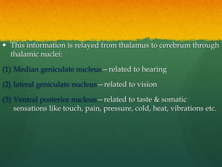  This information is relayed from thalamus to cerebrum through
thalamic nuclei:
(1) Median geniculate nucleus—related to hearing
(2) lateral geniculate nucleus—related to vision
(3) Ventral posterior nucleus—related to taste & somatic
sensations like touch, pain, pressure, cold, heat, vibrations etc.
 