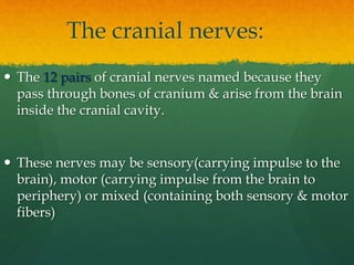 The cranial nerves:
 The 12 pairs of cranial nerves named because they
pass through bones of cranium & arise from the brain
inside the cranial cavity.
 These nerves may be sensory(carrying impulse to the
brain), motor (carrying impulse from the brain to
periphery) or mixed (containing both sensory & motor
fibers)
 