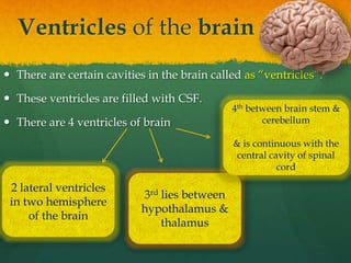 Ventricles of the brain
 There are certain cavities in the brain called as “ventricles”.
 These ventricles are filled with CSF.
 There are 4 ventricles of brain
2 lateral ventricles
in two hemisphere
of the brain
3rd lies between
hypothalamus &
thalamus
4th between brain stem &
cerebellum
& is continuous with the
central cavity of spinal
cord
 
