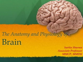 The Anatomy and Physiology of
Brain Sarita Sharma
Associate Professor
MMCP, MMDU
 