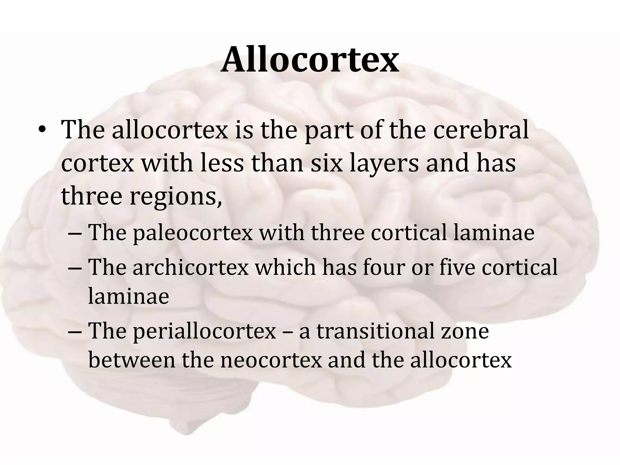 Allocortex
• The allocortex is the part of the cerebral
cortex with less than six layers and has
three regions,
– The paleocortex with three cortical laminae
– The archicortex which has four or five cortical
laminae
– The periallocortex – a transitional zone
between the neocortex and the allocortex
 