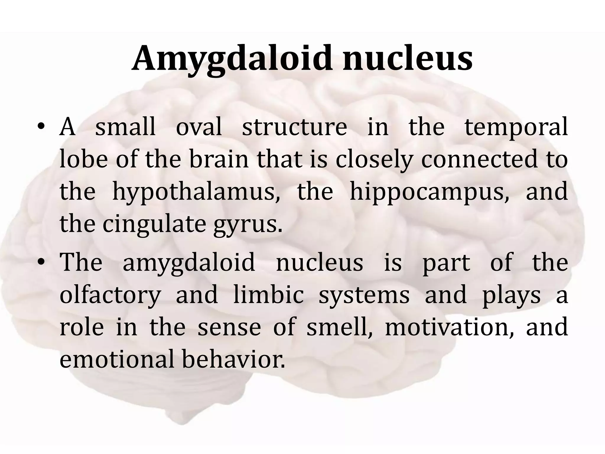 Amygdaloid nucleus
• A small oval structure in the temporal
lobe of the brain that is closely connected to
the hypothalamus, the hippocampus, and
the cingulate gyrus.
• The amygdaloid nucleus is part of the
olfactory and limbic systems and plays a
role in the sense of smell, motivation, and
emotional behavior.
 