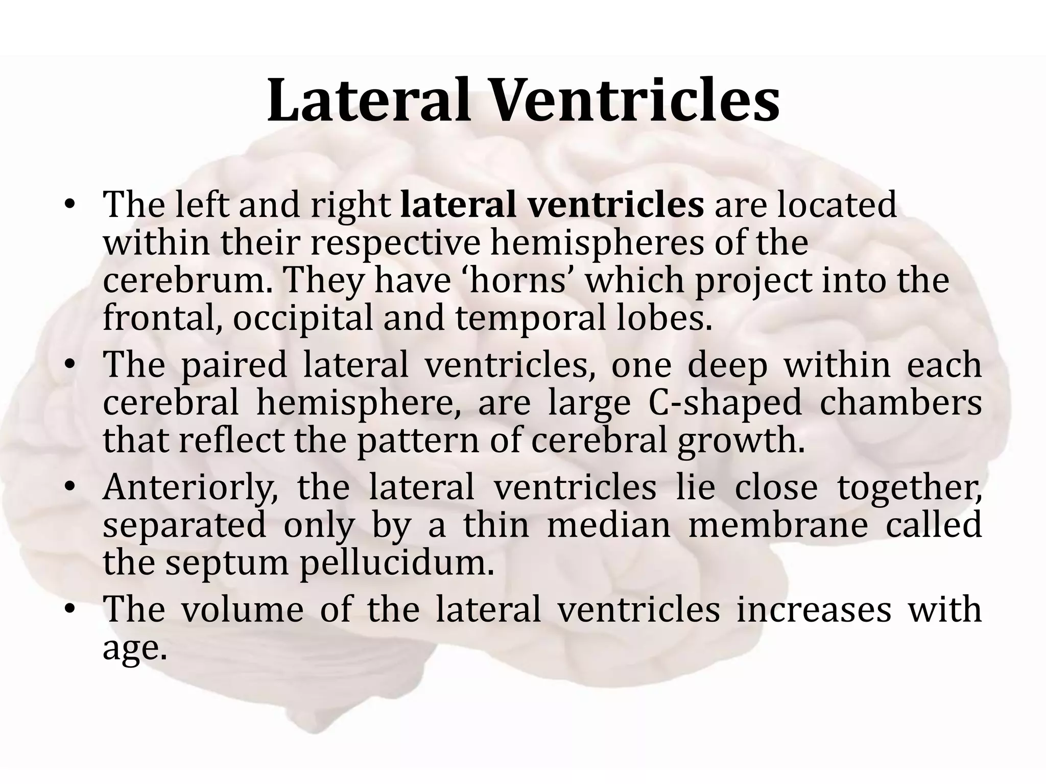 Lateral Ventricles
• The left and right lateral ventricles are located
within their respective hemispheres of the
cerebrum. They have ‘horns’ which project into the
frontal, occipital and temporal lobes.
• The paired lateral ventricles, one deep within each
cerebral hemisphere, are large C-shaped chambers
that reflect the pattern of cerebral growth.
• Anteriorly, the lateral ventricles lie close together,
separated only by a thin median membrane called
the septum pellucidum.
• The volume of the lateral ventricles increases with
age.
 