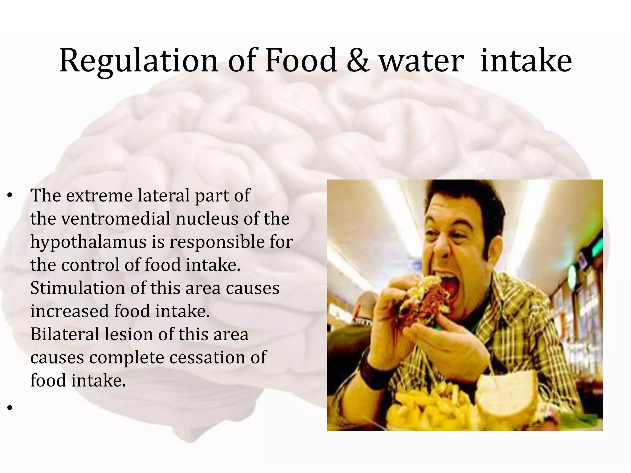 Regulation of Food & water intake
• The extreme lateral part of
the ventromedial nucleus of the
hypothalamus is responsible for
the control of food intake.
Stimulation of this area causes
increased food intake.
Bilateral lesion of this area
causes complete cessation of
food intake.
•
 