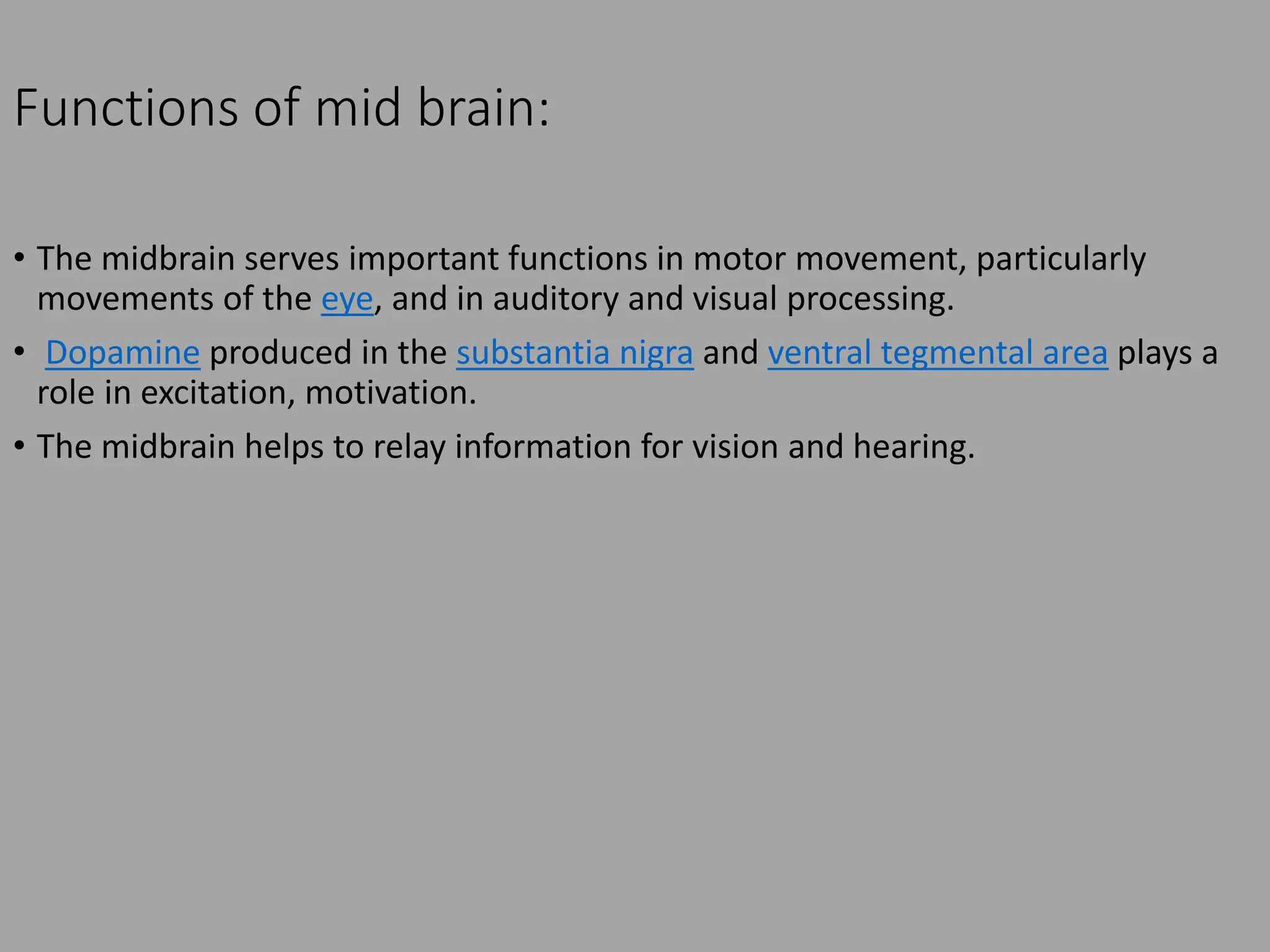 Anatomy And Physiology Of Brain Pptx Anatomy And Physiology Of Brain Pptx