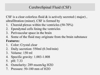 Csf Color Human The Brain Anatomy by Dr Arman Hossain | PPTX
