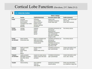 Cortical Lobe Function (Davidson, 23rd, Table:25-2)
 