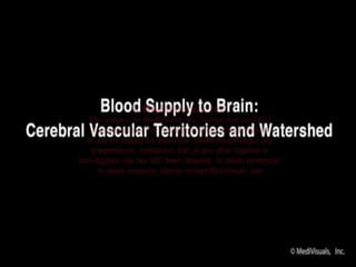 Clinical Relevance (Stroke)
Stroke: Acute, focal brain dysfunction due to vascular
disease is called stroke.
Davidson 23rd...