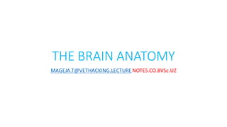 THE BRAIN ANATOMY
MAGEJA.T@VETHACKING.LECTURE NOTES.CO.BVSc.UZ
 