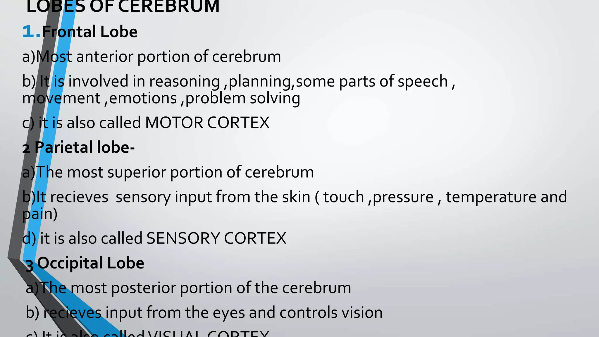 LOBES OF CEREBRUM
1.Frontal Lobe
a)Most anterior portion of cerebrum
b) It is involved in reasoning ,planning,some parts of speech ,
movement ,emotions ,problem solving
c) it is also called MOTOR CORTEX
2 Parietal lobe-
a)The most superior portion of cerebrum
b)It recieves sensory input from the skin ( touch ,pressure , temperature and
pain)
d) it is also called SENSORY CORTEX
3 Occipital Lobe
a)The most posterior portion of the cerebrum
b) recieves input from the eyes and controls vision
 