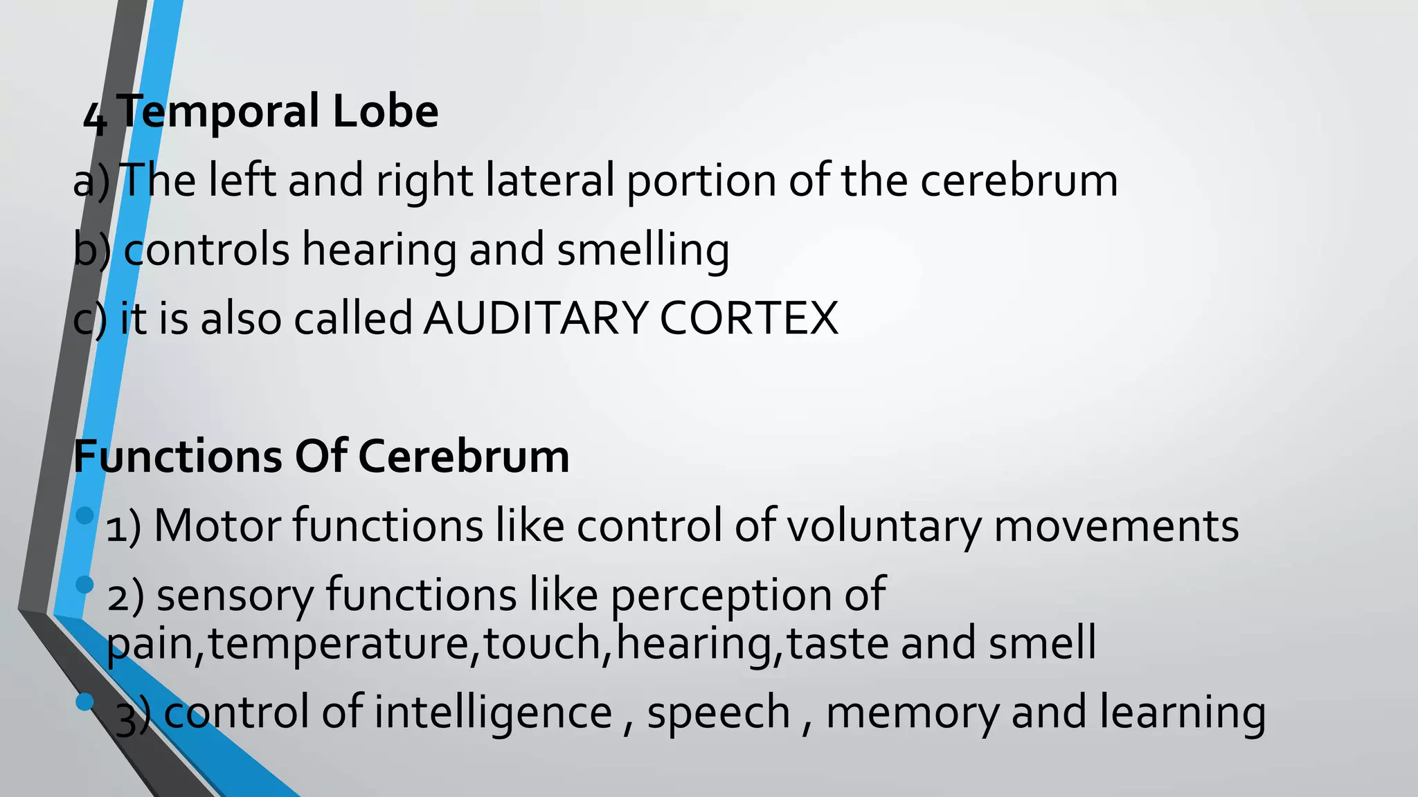 4Temporal Lobe
a)The left and right lateral portion of the cerebrum
b) controls hearing and smelling
c) it is also called AUDITARY CORTEX
Functions Of Cerebrum
•1) Motor functions like control of voluntary movements
•2) sensory functions like perception of
pain,temperature,touch,hearing,taste and smell
• 3) control of intelligence , speech , memory and learning
 