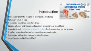 Introduction
• Most superior of the regions of brainstem ( medulla )
• Relatively small in size
• It connects hind brain with fore brain
• Special reflexes and visuals and auditory sensation are found here
• Important part :reticulate activating system (ras),responsible for our arousal
• It makes us alert and active by regulating sensory inputs
• Associated with vision ,hearing ,motor functions
• https://youtu.be/NsWukc8G6wE
 