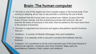 Brain-The human computer
 The brain is one of the largest and most complex organs in the human body. From
running to sleeping, all our day-to-day activities is carried by the use of brain.
 It is believed that the human brain has evolved over millions of years from the
brains of lower animals, and this evolutionary process still continues. We can
examine the levels of structures in the brain, from its earliest to the most recent form
in the process of evolution.
 The brain is organised into structures and regions that perform specific functions.
They are :-
• Hindbrain – it consists of Medulla Oblongata, Pons and Cerebellum.
• Midbrain – it is relatively small in size and it connects the hindbrain with the
forebrain.
• Forebrain - It is considered to be the most important part of the brain because it
performs all cognitive , emotional, and motor activities. Major parts are
hypothalamus, thalamus, limbic system, and cerebrum.
 