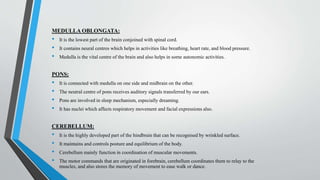 MEDULLA OBLONGATA:
• It is the lowest part of the brain conjoined with spinal cord.
• It contains neural centres which helps in activities like breathing, heart rate, and blood pressure.
• Medulla is the vital centre of the brain and also helps in some autonomic activities.
PONS:
• It is connected with medulla on one side and midbrain on the other.
• The neutral centre of pons receives auditory signals transferred by our ears.
• Pons are involved in sleep mechanism, especially dreaming.
• It has nuclei which affects respiratory movement and facial expressions also.
CEREBELLUM:
• It is the highly developed part of the hindbrain that can be recognised by wrinkled surface.
• It maintains and controls posture and equilibrium of the body.
• Cerebellum mainly function in coordination of muscular movements.
• The motor commands that are originated in forebrain, cerebellum coordinates them to relay to the
muscles, and also stores the memory of movement to ease walk or dance.
 