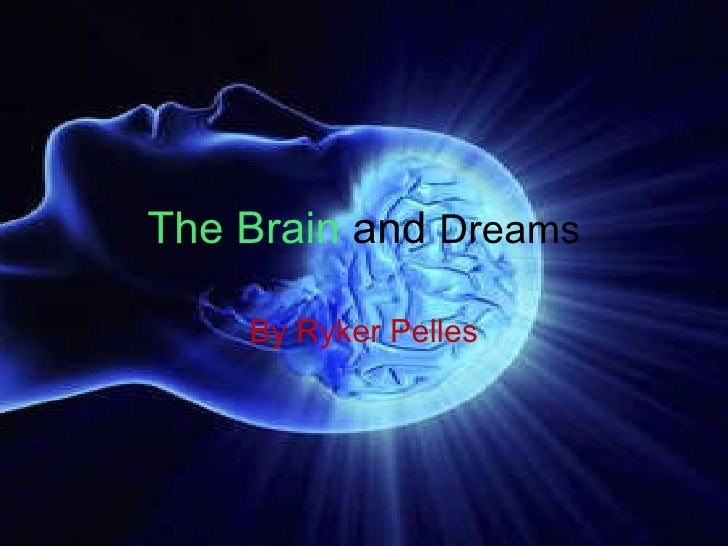 The brain and dreams