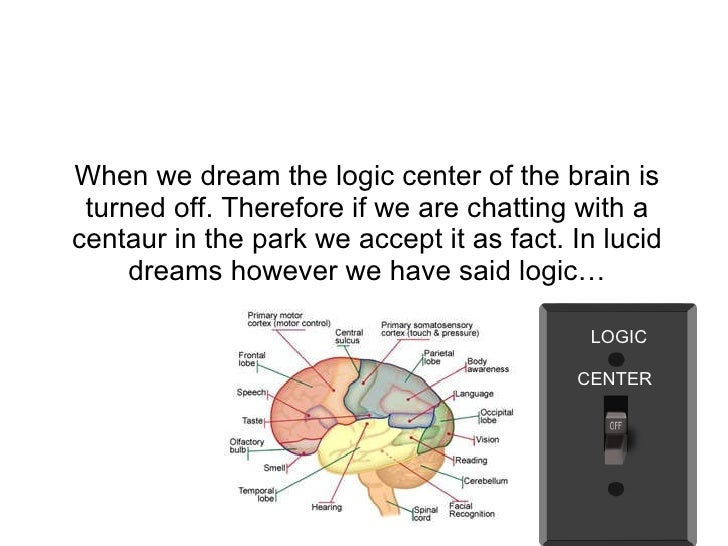 The brain and dreams