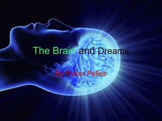 The Brain   and   Dreams By Ryker Pelles 