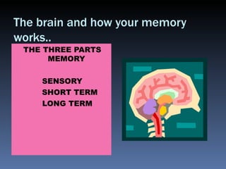 The brain and how your memory works.. ,[object Object],[object Object],[object Object],[object Object]