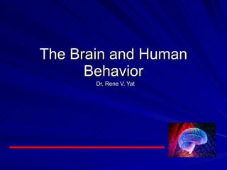 Dr. Rene V. Yat The Brain and Human Behavior 