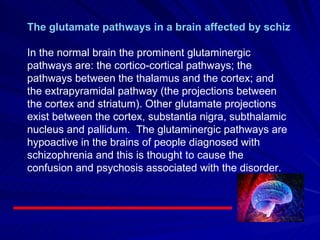 The glutamate pathways in a brain affected by schizophrenia In the normal brain the prominent glutaminergic pathways are: the cortico-cortical pathways; the pathways between the thalamus and the cortex; and the extrapyramidal pathway (the projections between the cortex and striatum). Other glutamate projections exist between the cortex, substantia nigra, subthalamic nucleus and pallidum.  The glutaminergic pathways are hypoactive in the brains of people diagnosed with schizophrenia and this is thought to cause the confusion and psychosis associated with the disorder. 