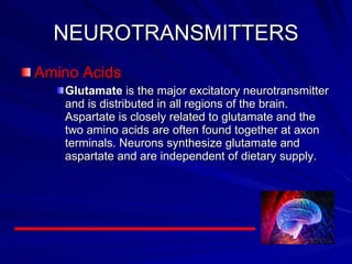 NEUROTRANSMITTERS Amino Acids Glutamate  is the major excitatory neurotransmitter and is distributed in all regions of the brain. Aspartate is closely related to glutamate and the two amino acids are often found together at axon terminals. Neurons synthesize glutamate and aspartate and are independent of dietary supply.  
