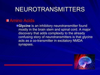 NEUROTRANSMITTERS Amino Acids Glycine  is an inhibitory neurotransmitter found mostly in the brain stem and spinal cord. A major discovery that adds complexity to the already confusing story of neurotransmitters is that glycine acts as a co-transmitter in excitatory NMDA synapses.  