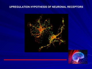 UPREGULATION HYPOTHESIS OF NEURONAL RECEPTORS 