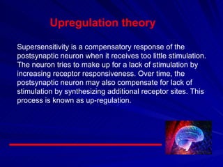 Supersensitivity is a compensatory response of the postsynaptic neuron when it receives too little stimulation. The neuron tries to make up for a lack of stimulation by increasing receptor responsiveness. Over time, the postsynaptic neuron may also compensate for lack of stimulation by synthesizing additional receptor sites. This process is known as up-regulation. Supersensitivity is a compensatory response of the postsynaptic neuron when it receives too little stimulation. The neuron tries to make up for a lack of stimulation by increasing receptor responsiveness. Over time, the postsynaptic neuron may also compensate for lack of stimulation by synthesizing additional receptor sites. This process is known as up-regulation. Supersensitivity is a compensatory response of the postsynaptic neuron when it receives too little stimulation. The neuron tries to make up for a lack of stimulation by increasing receptor responsiveness. Over time, the postsynaptic neuron may also compensate for lack of stimulation by synthesizing additional receptor sites. This process is known as up-regulation. Supersensitivity is a compensatory response of the postsynaptic neuron when it receives too little stimulation. The neuron tries to make up for a lack of stimulation by increasing receptor responsiveness. Over time, the postsynaptic neuron may also compensate for lack of stimulation by synthesizing additional receptor sites. This process is known as up-regulation. Supersensitivity is a compensatory response of the postsynaptic neuron when it receives too little stimulation. The neuron tries to make up for a lack of stimulation by increasing receptor responsiveness. Over time, the postsynaptic neuron may also compensate for lack of stimulation by synthesizing additional receptor sites. This process is known as up-regulation. Supersensitivity is a compensatory response of the postsynaptic neuron when it receives too little stimulation. The neuron tries to make up for a lack of stimulation by increasing receptor responsiveness. Over time, the postsynaptic neuron may also compensate for lack of stimulation by synthesizing additional receptor sites. This process is known as up-regulation. Supersensitivity is a compensatory response of the postsynaptic neuron when it receives too little stimulation. The neuron tries to make up for a lack of stimulation by increasing receptor responsiveness. Over time, the postsynaptic neuron may also compensate for lack of stimulation by synthesizing additional receptor sites. This process is known as up-regulation. Supersensitivity is a compensatory response of the postsynaptic neuron when it receives too little stimulation. The neuron tries to make up for a lack of stimulation by increasing receptor responsiveness. Over time, the postsynaptic neuron may also compensate for lack of stimulation by synthesizing additional receptor sites. This process is known as up-regulation. Upregulation theory Supersensitivity (up-regulation) Supersensitivity (up-regulation) Supersensitivity (up-regulation) Supersensitivity (up-regulation) Supersensitivity (up-regulation) Supersensitivity (up-regulation) Supersensitivity (up-regulation) 