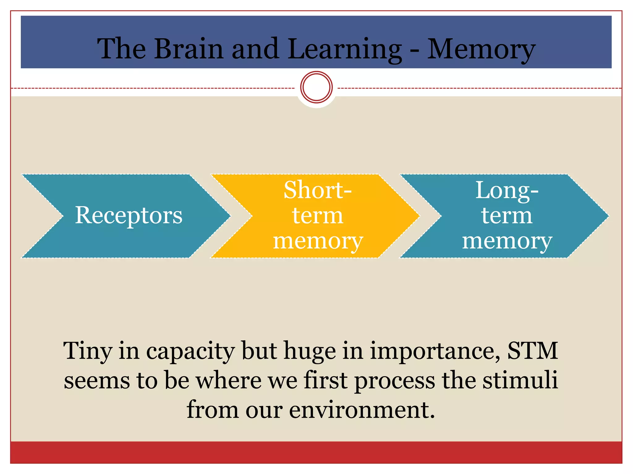 The Brain and Learning - Memory



                   Short-            Long-
 Receptors          term             term
                   memory           memory



Tiny in capacity but huge in importance, STM
seems to be where we first process the stimuli
           from our environment.
 