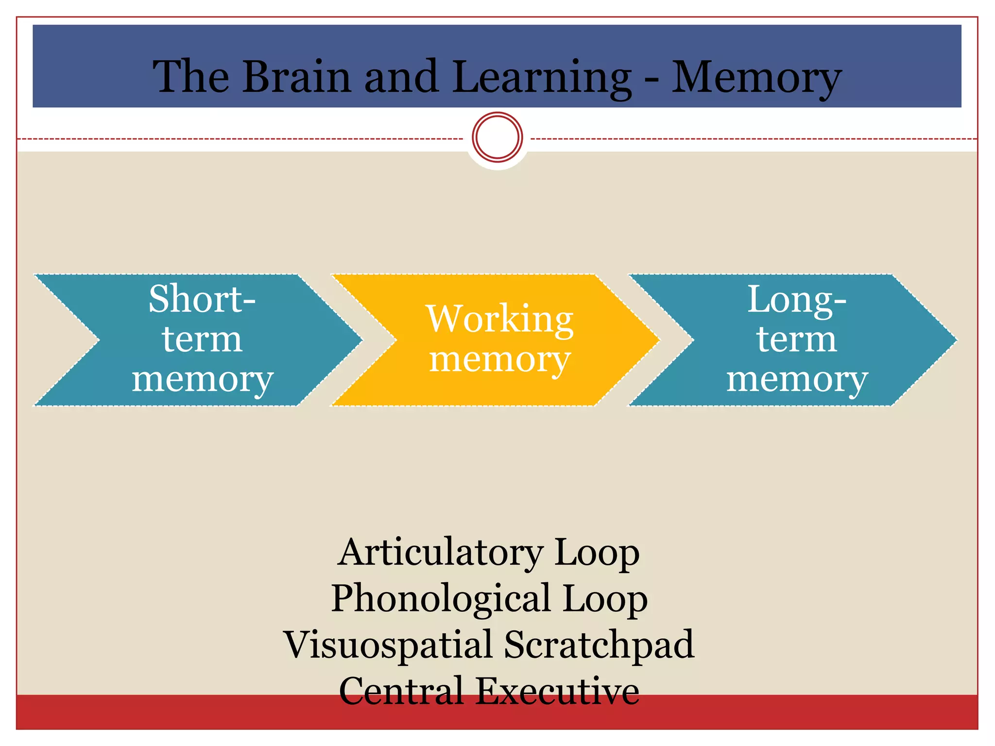 The Brain and Learning - Memory



Short-                              Long-
                Working
 term                               term
                memory
memory                             memory



            Articulatory Loop
            Phonological Loop
         Visuospatial Scratchpad
            Central Executive
 