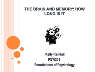 THE BRAIN AND MEMORY: HOW LONG IS IT Kelly Randall PSY/201  Foundations of Psychology  