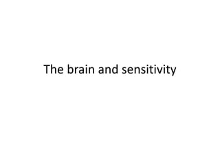 The brain and sensitivity
 