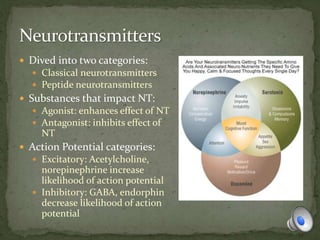  Dived into two categories:
 Classical neurotransmitters
 Peptide neurotransmitters
 Substances that impact NT:
 Agonist: enhances effect of NT
 Antagonist: inhibits effect of
NT
 Action Potential categories:
 Excitatory: Acetylcholine,
norepinephrine increase
likelihood of action potential
 Inhibitory: GABA, endorphin
decrease likelihood of action
potential
 