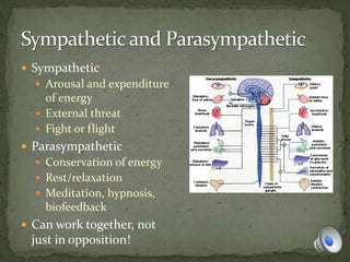  Sympathetic
 Arousal and expenditure
of energy
 External threat
 Fight or flight
 Parasympathetic
 Conservation of energy
 Rest/relaxation
 Meditation, hypnosis,
biofeedback
 Can work together, not
just in opposition!
 