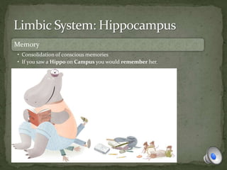 Memory
• Consolidation of conscious memories
• If you saw a Hippo on Campus you would remember her.
 