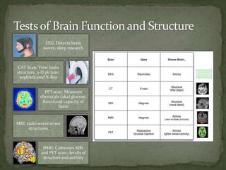 EEG: Detects brain
waves; sleep research
CAT Scan: View brain
structure, 3-D picture,
sophisticated X-Ray
PET scan: Measures
chemicals (aka) glucose;
functional capacity of
brain
MRI: radio waves to see
structures
fMRI: Cobmines MRI
and PET scan; details of
structure and activity
 