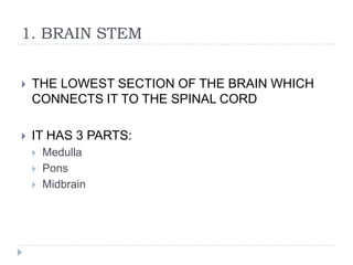 1. BRAIN STEMTHE LOWEST SECTION OF THE BRAIN WHICH CONNECTS IT TO THE SPINAL CORDIT HAS 3 PARTS:MedullaPonsMidbrain