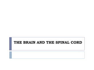 THE BRAIN AND THE SPINAL CORD 