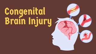 Congenital
Brain Injury
 