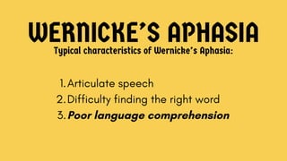 WERNICKE’S APHASIA
Typical characteristics of Wernicke’s Aphasia:
1. Articulate speech
2. Difficulty finding the right word
3. Poor language comprehension
 