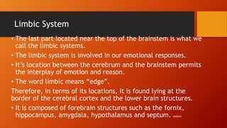 Limbic System
• The last part located near the top of the brainstem is what we
call the limbic systems.
• The limbic system is involved in our emotional responses.
• It’s location between the cerebrum and the brainstem permits
the interplay of emotion and reason.
• The word limbic means “edge”.
Therefore, in terms of its locations, it is found lying at the
border of the cerebral cortex and the lower brain structures.
• It is composed of forebrain structures such as the fornix,
hippocampus, amygdala, hypothalamus and septum. explain
 