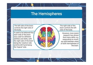 Comprehensive Overview of Human Brain Structure and Functions | PDF