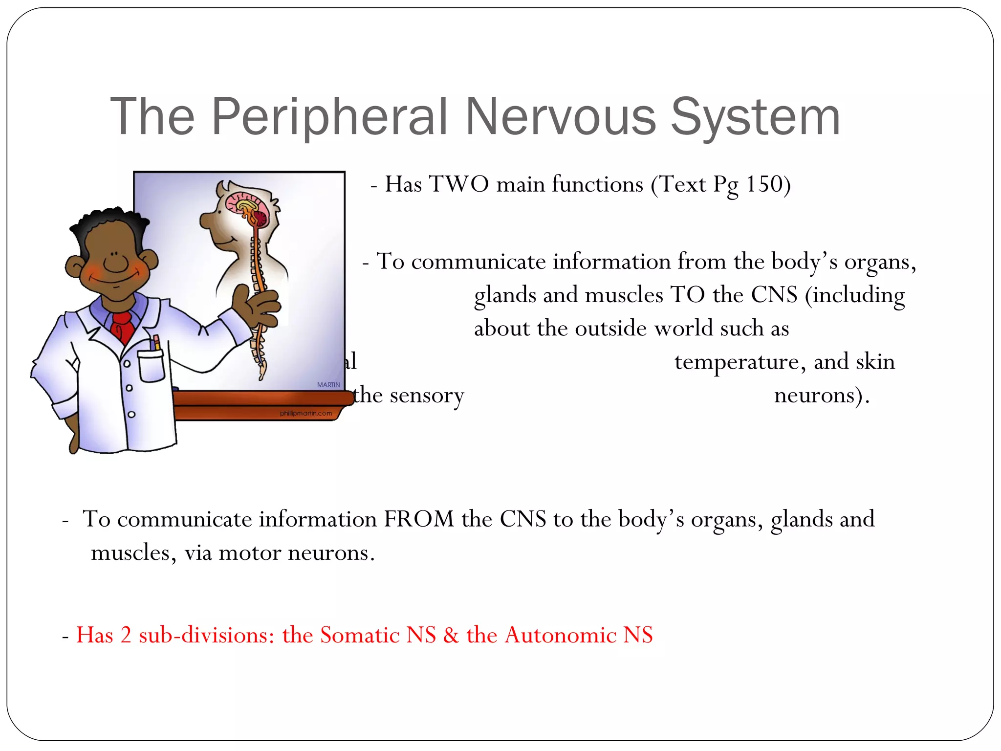 The Peripheral Nervous System - Has TWO main functions (Text Pg 150)   - To communicate information from the body’s organs,    glands and muscles TO the CNS (including information    about the outside world such as environmental    temperature, and skin sensation, via the sensory    neurons). -  To communicate information FROM the CNS to the body’s organs, glands and muscles, via motor neurons. -  Has 2 sub-divisions: the Somatic NS & the Autonomic NS 