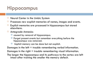 Hippocampus Neural Center in the Limbic System Processes new explicit memories of names, images and events. Explicit memories are processed in hippocampus but stored elsewhere. Antegrade Amnesia:  caused by removal of hippocampus. Forget present events but remember everything before the hippocampus was removed. Implicit memory can be done but not explicit. Damages in the left = trouble remembering verbal information. Damages in the right = trouble remembering visual information. The longer the hippocampus and its pathways to the cortex are left intact after training the smaller the memory defecit. 