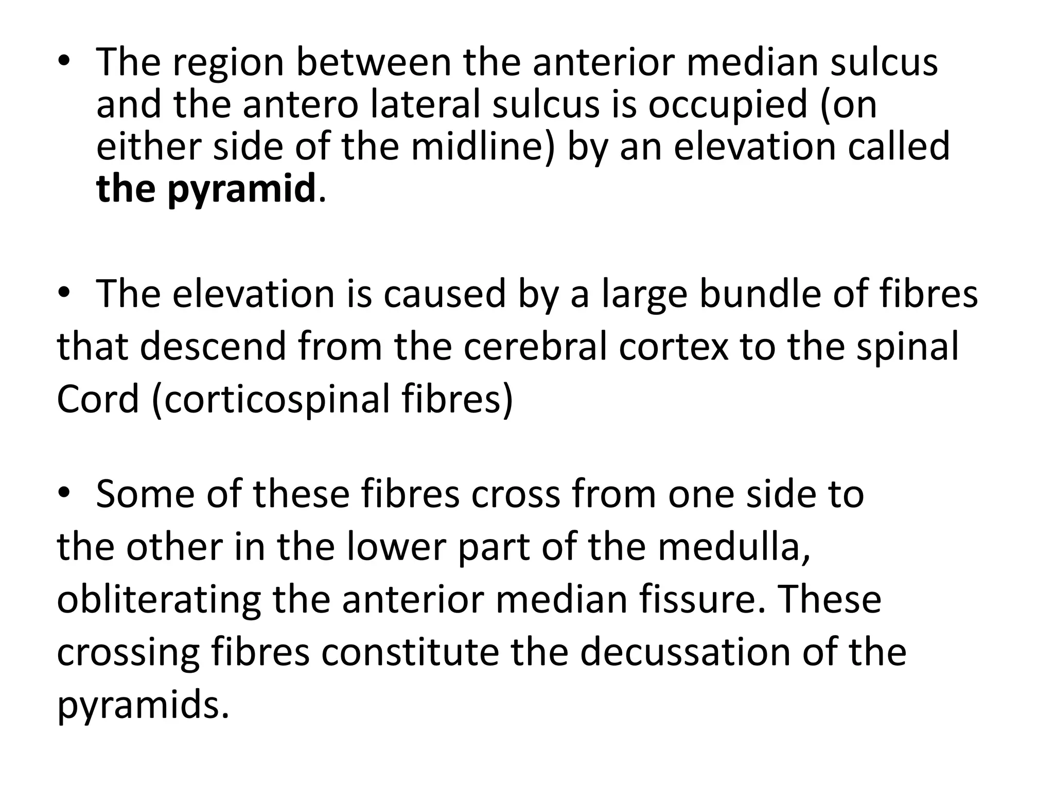 • The region between the anterior median sulcus
and the antero lateral sulcus is occupied (on
either side of the midline) by an elevation called
the pyramid.
• The elevation is caused by a large bundle of fibres
that descend from the cerebral cortex to the spinal
Cord (corticospinal fibres)
• Some of these fibres cross from one side to
the other in the lower part of the medulla,
obliterating the anterior median fissure. These
crossing fibres constitute the decussation of the
pyramids.
 