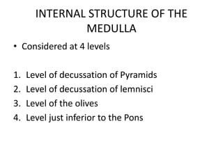 INTERNAL STRUCTURE OF THE
MEDULLA
• Considered at 4 levels
1. Level of decussation of Pyramids
2. Level of decussation of lemnisci
3. Level of the olives
4. Level just inferior to the Pons
 