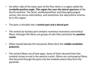 • On either side of the lower part of the Pons there is a region called the
cerebello-pontine angle. This region lies near the lateral aperture of the
fourth ventricle. The facial, vestibulocochlear and Glossopharyngeal
nerves, the nervus intermedius, and sometimes the labyrinthine arteries
lie in this region.
• The pons is divisible into a ventral part and a dorsal part
• The ventral (or basilar) part contains numerous transverse and vertical
fibres. Amongst the fibres are groups of cells that constitute the pontine
nuclei.
• When traced laterally the transverse fibres form the middle cerebellar
peduncle.
• The vertical fibres are of two types. Some of them descend from the
cerebral cortex to end in the pontine nuclei. Others are corticospinal fibres
that descend through the pons into the medulla where they form the
pyramids.
 