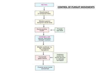 CONTROL OF PURSUIT MOVEMENTS
 
